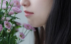 羞羞漫画登录页面免费漫画入口页面破解